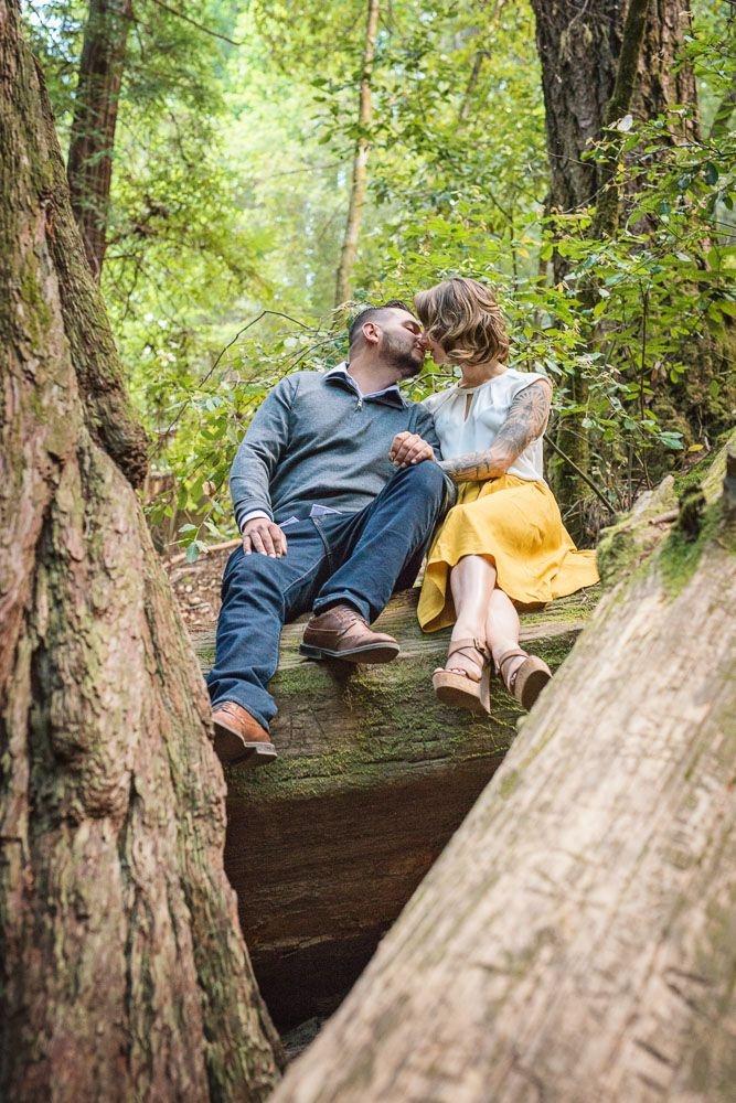 carousel-hero-element image-1