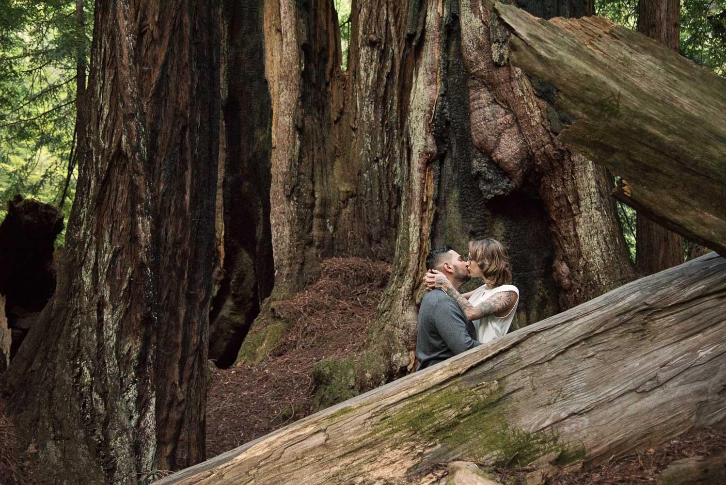 carousel-hero-element image-15