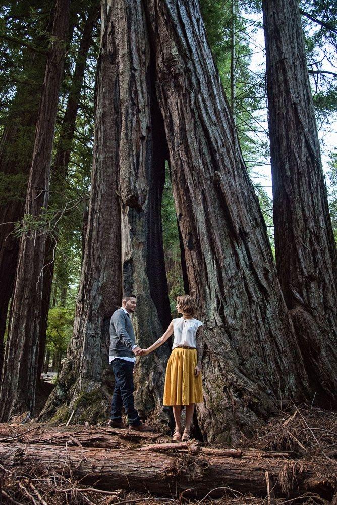 carousel-hero-element image-9